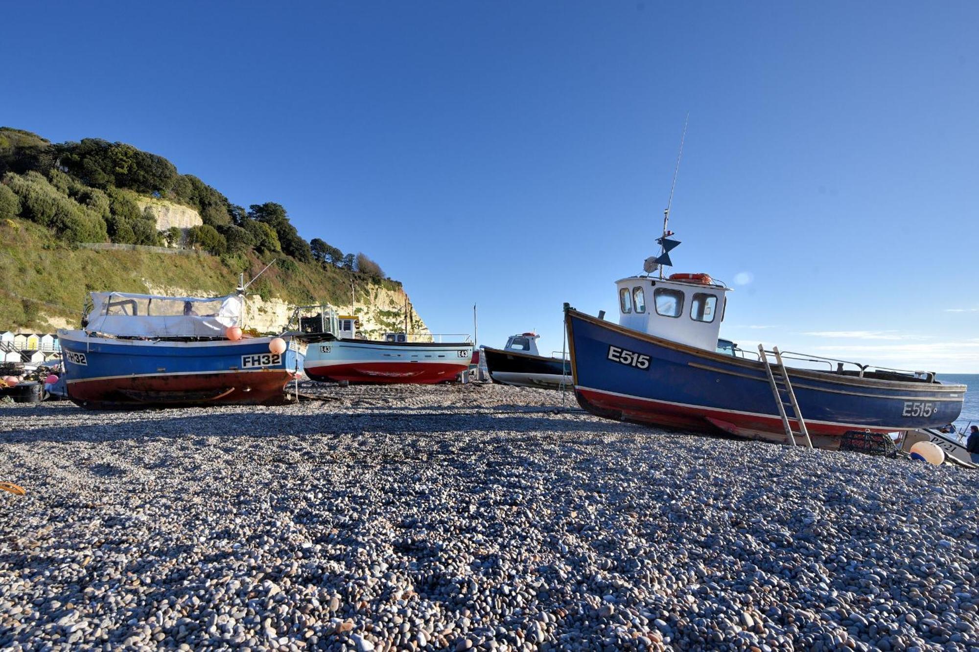 Seaweed Villa Sidmouth Exterior foto